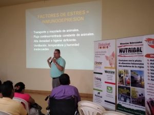 Charlas conferencias