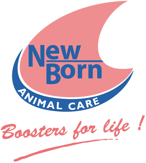 logo png newborn